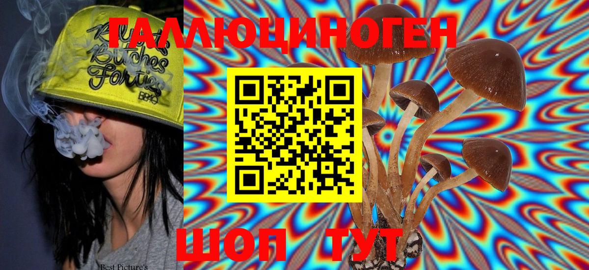 Спасск-Дальний  Псилоцибиновые грибы MAGIC MUSHROOMS  Вход с VPN  Псилоцибиновые грибы MAGIC MUSHROOMS 