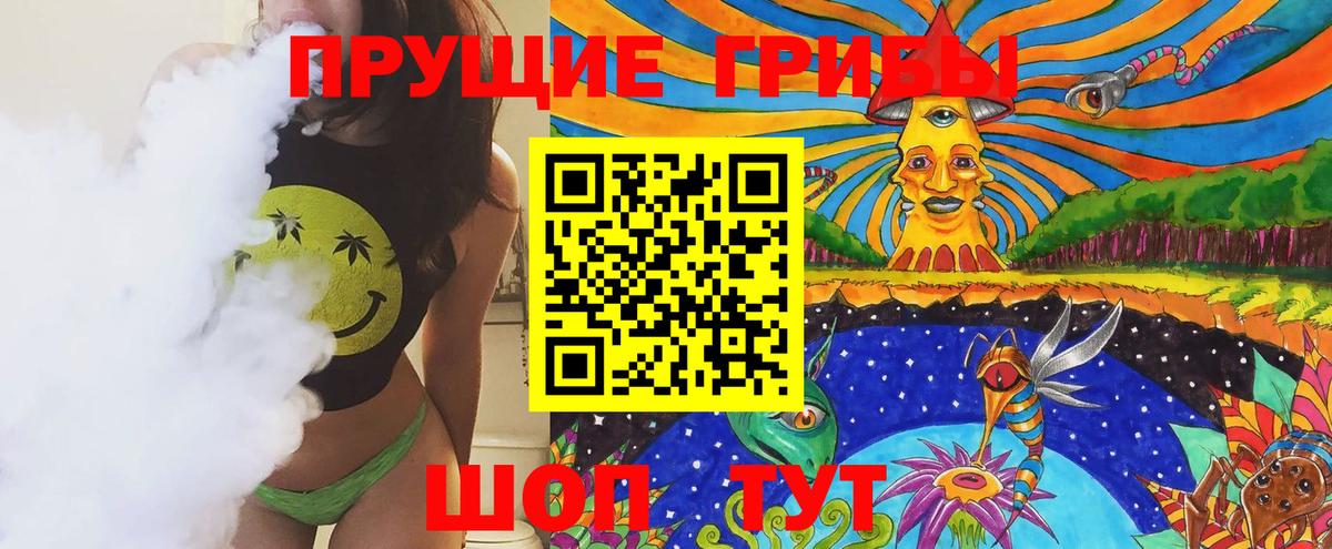 Псилоцибиновые грибы Cubensis Спасск-Дальний